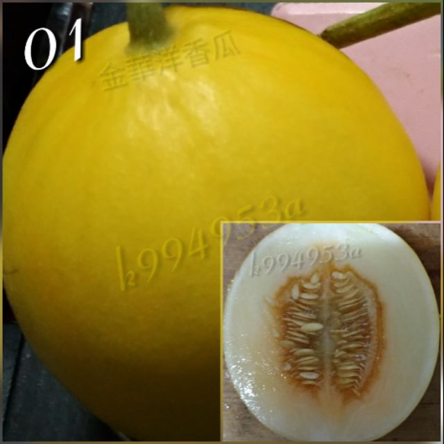 (1)洋香瓜種子$60(20粒籽)