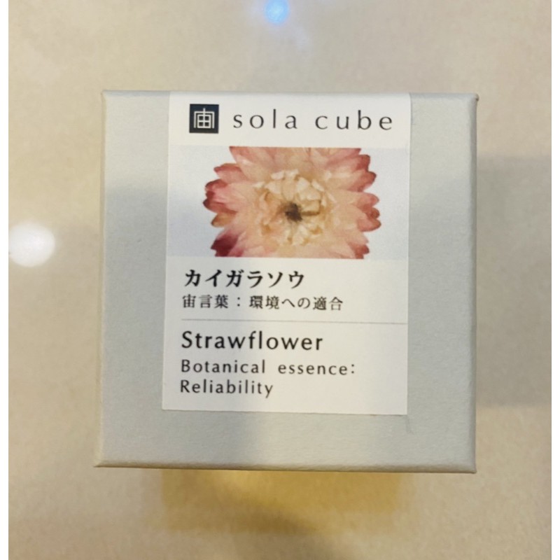 日本京都sola Cube 立方植物標本宙適合環境全新現貨 蝦皮購物