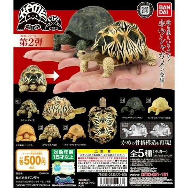 【貓轉角】『現貨單售區』  BANDAI 烏龜環保扭蛋 P2 全五款 烏龜 陸龜