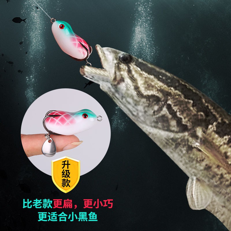 路亞假餌青蛙 Ptt討論與高評價網拍商品 21年7月 飛比價格
