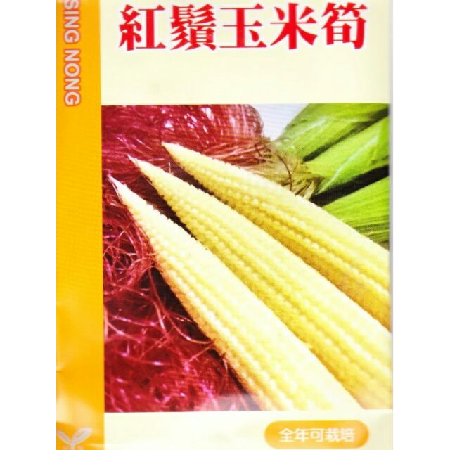 種子王國玉米筍紅鬚玉米筍 蔬果種子 全年可栽培興農種苗家庭園藝原包裝種子約8公克 包 蝦皮購物