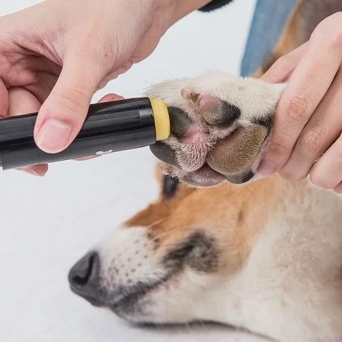 散步肉球護掌膏 炎熱外出必備 肉球潤澤 保濕 預防指尖炎與破皮 狗貓通用 蝦皮購物