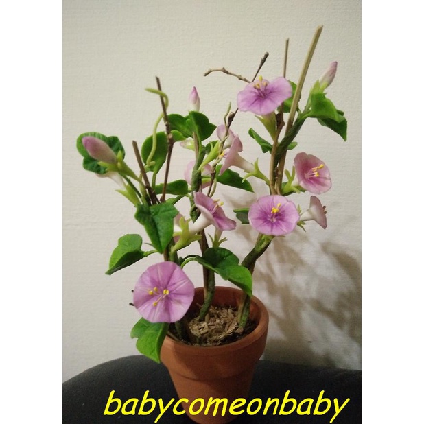 愛麗絲手作坊麵包花小盆栽牽牛花黏土手作擺飾高度約15cm 花器口徑約5 5cm 蝦皮購物
