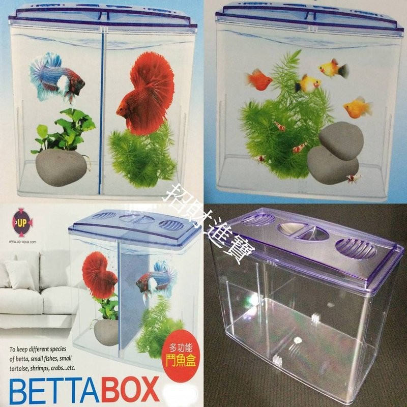 隔離盒適用鬥魚缸燈科孔雀魚飼育治療幼魚小型魚魚缸雙槽水族箱 蝦皮購物