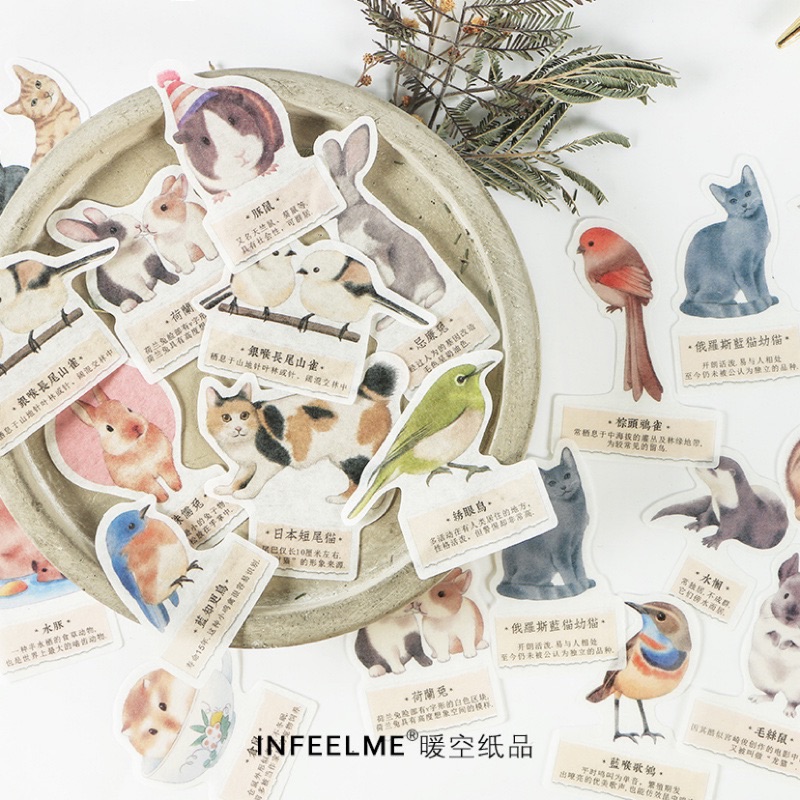 現貨可愛動物貼紙台灣賣家手帳裝飾貼紙裝飾貼紙手帳貼紙手帳素材貼紙手帳創作貼紙文青貼紙 蝦皮購物