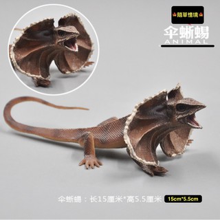 （★現貨稀有）SPG 正版 傘蜥蜴 傘蜥 模擬動物模型 套裝 野生動物 兒童玩具 益智禮物 公仔
