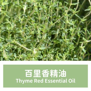 【馥靖精油】百里香精油 (紅百里香精油) Thyme Red Essential Oil