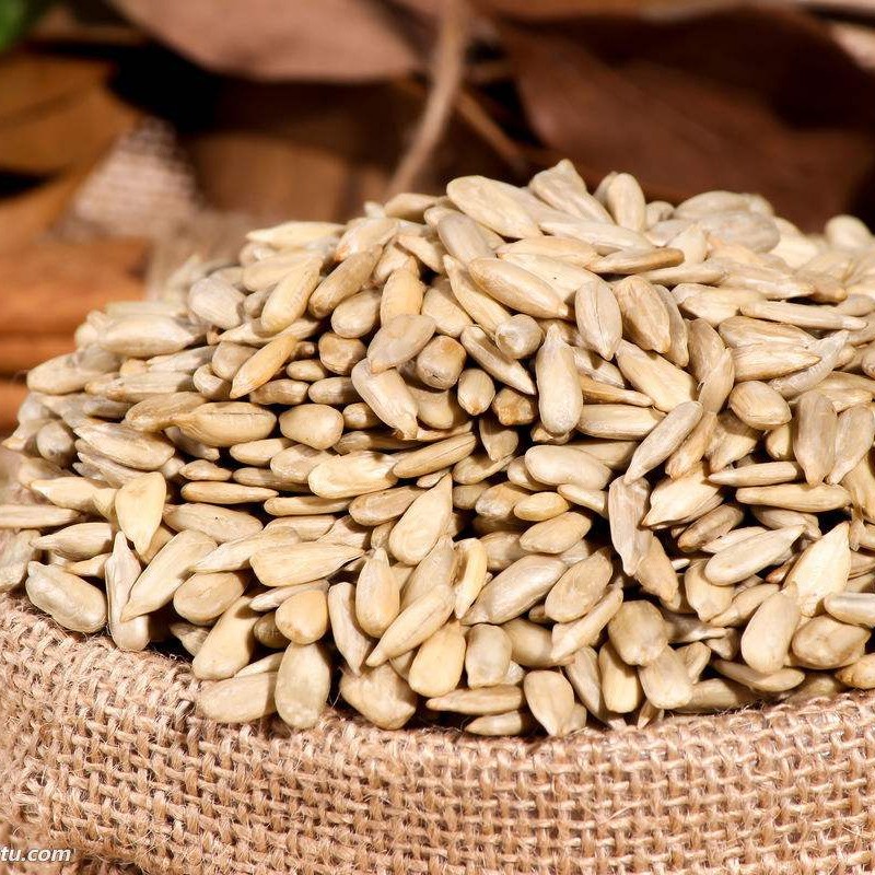 寵物用品堅果泥松鼠大眼飛鼠倉鼠吃的飼料糧食用品食物生瓜子仁葵花子仁新款 蝦皮購物