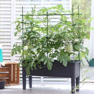 花架 種植箱 花箱 植栽箱 收納箱 種樹箱 種菜盆 特大號塑膠花盆 戶外庭院樓頂長方形高腳陽臺瓜果專用種植箱 OZBJ