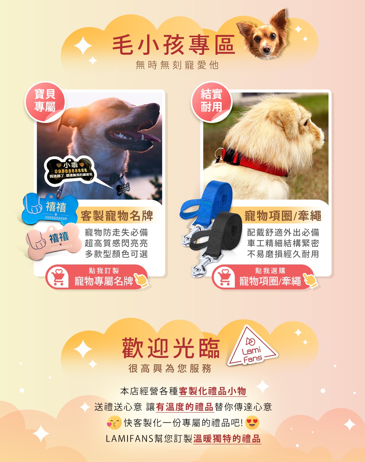 Lamifans 線上商店 蝦皮購物