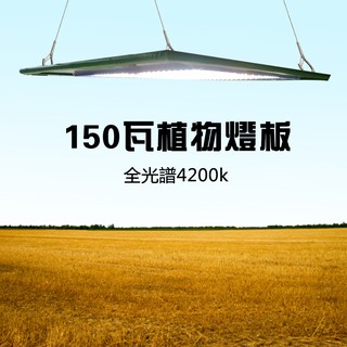 【君沛植物生長燈】薄型燈板 植物燈 150瓦 防水型 全光譜 植物生長燈版 種植箱專用 150W led燈版