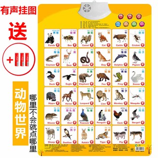 音大漢字有聲拼音拼讀卡片發音一年級教具兒童小學生全套字母專用 樂購批發 蝦皮購物