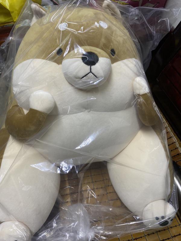 特力屋超萌柴犬靠墊 蝦皮購物