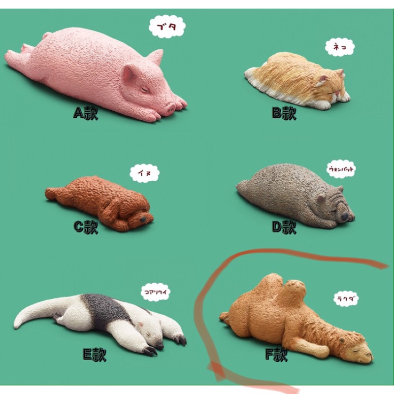 睡眠動物愛睏動物zoo 睡覺動物園扭蛋駱駝 蝦皮購物