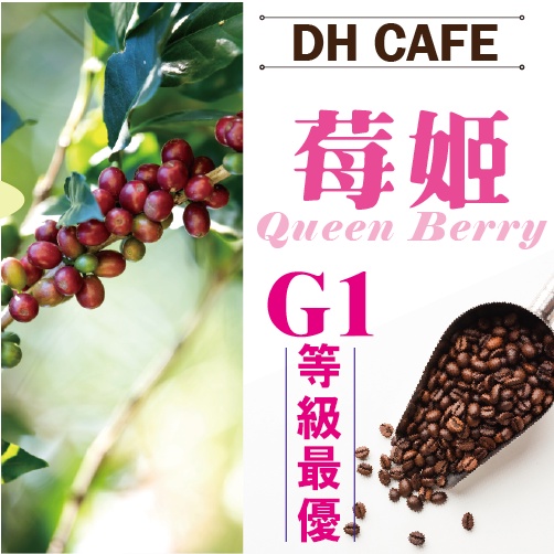 【DH咖啡】耶加雪菲南希寶G1莓姬精品咖啡豆半磅 買一送二 衣索比亞 精品咖啡 嚴選 單品 淺焙咖啡 精品咖啡 日曬