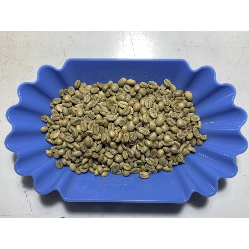 《新上架》2021產季 衣索比亞 日曬 耶加雪菲 咖啡 生豆 專賣