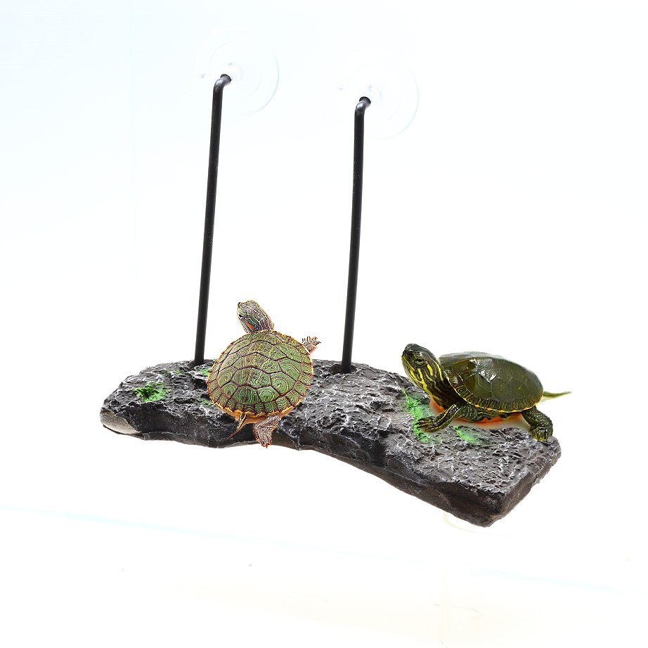 自浮式烏龜浮島 大/小 兩種尺寸-  水龜 烏龜島 浮台 曬台 爬台 斜坡 -隨水位自動升降 小烏龜 大烏龜