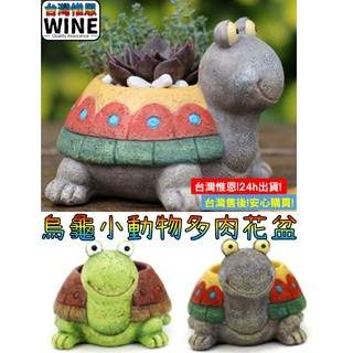 WINE臺灣惟恩 微景觀 烏龜 烏龜小動物多肉花盆 水族DIY 辦公室小物 盆栽佈置 多肉 龜 海龜 水族