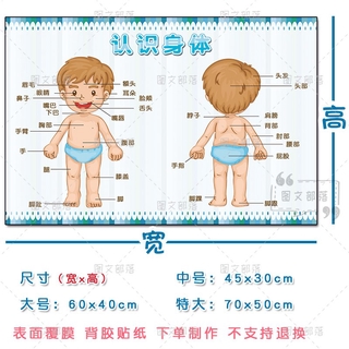新品预售 兒童身體部位five Senses五官思維導圖英語單詞英語教室裝飾海報 蝦皮購物
