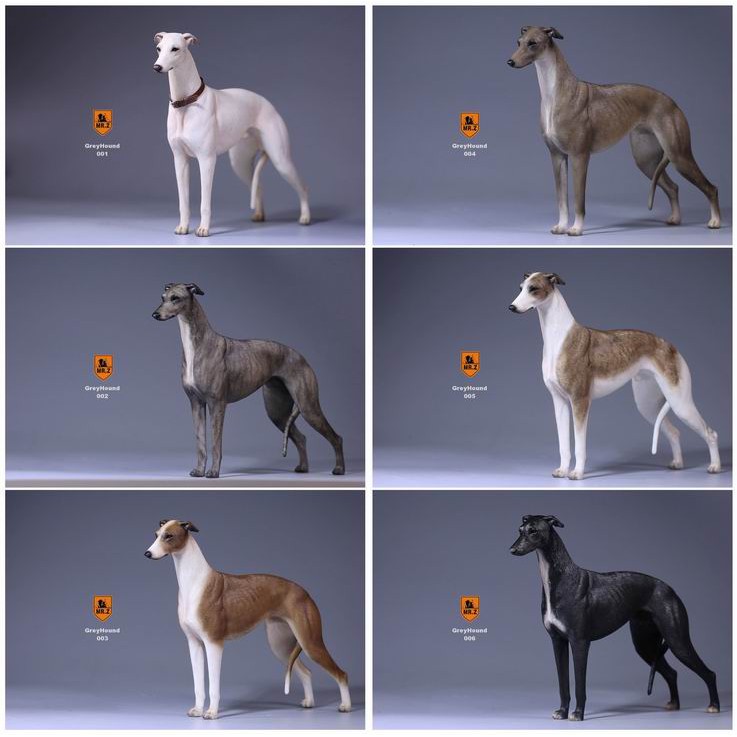 Mr Z 站立靈緹犬 格力犬 6色可選 下標前請先詢問有貨否 蝦皮購物
