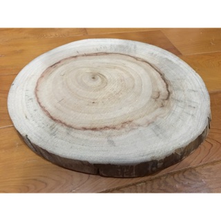 樟木原木切片、鍋墊、砧板 隔熱墊