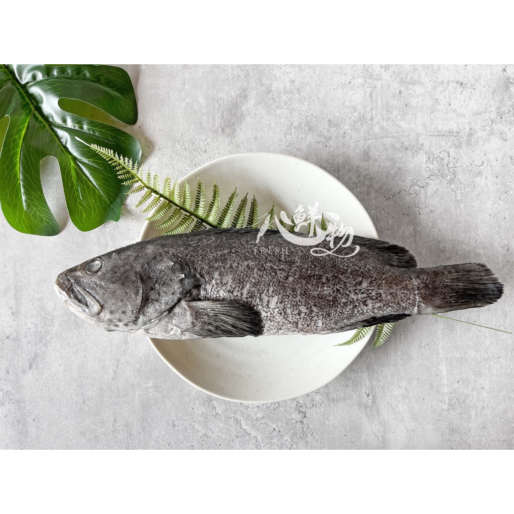 《心鮮物 fresh》台灣石斑/900g-1kg/石斑魚/三去/魚類/冷凍海鮮/滿額免運/台南外送