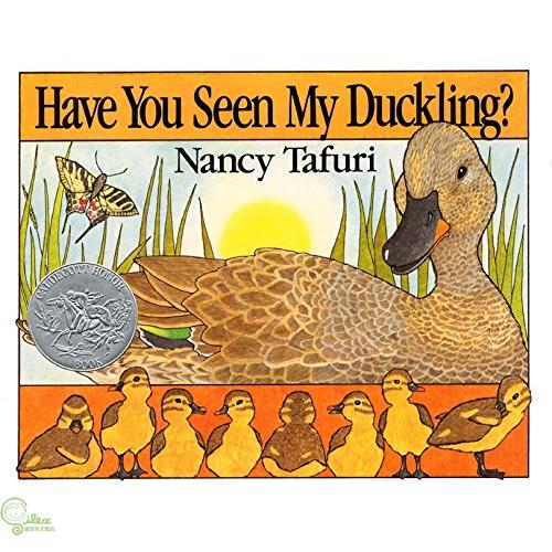 Have You Seen My Duckling? Board Book
