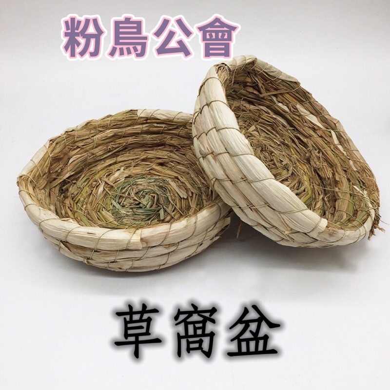 現貨 鴿子孵蛋盆 倉鼠天竺鼠兔子 鴿子用品鳥類鴿具信鴿 寵物 不銹鋼水壺站架 木質 鸚鵡鳥類賽鴿 小鳥玩具飼料盒