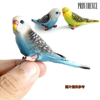 🍸陽光家居模擬野生 動物模型 鸚鵡 塑膠模擬玩具 微景觀擺件