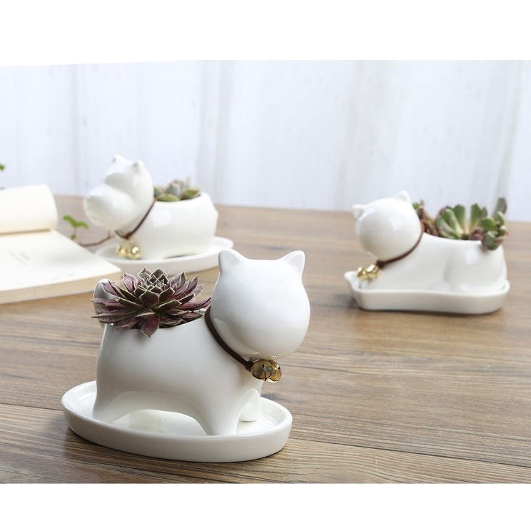 •Meow Shop - 可愛多肉花盆 療癒擺飾（不含植物）多肉盆 陶瓷花盆 貓 狗 草泥馬 桌面 辦公室 禮物
