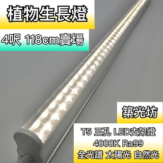 【築光坊】全光譜 植物生長燈 Ra99 自然光 4000K 太陽光 T5 LED支架燈 層板燈 4尺 4呎 植物燈