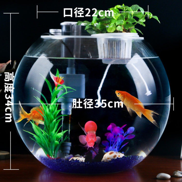 時尚小寵 圓形玻璃魚缸透明大號加厚創意懶人免換水客廳辦公室生態圓魚缸 蝦皮購物