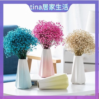 花瓶 花器 日式花瓶 陶瓷小花瓶 極簡純色花瓶 乾燥花花瓶簡約北歐ins乾花花瓶擺件客廳桌面水培插花滿天星花器裝飾品