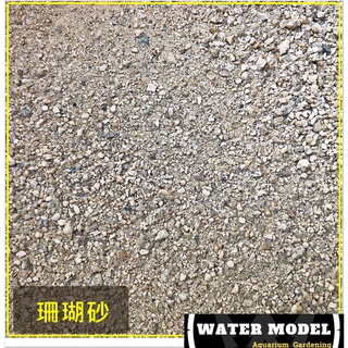 水模型水族#珊瑚砂 500g/1kg 細砂 貝殼砂 魚缸造景 海水 底砂 盆子鋪面 園藝 螃蟹 寄居蟹