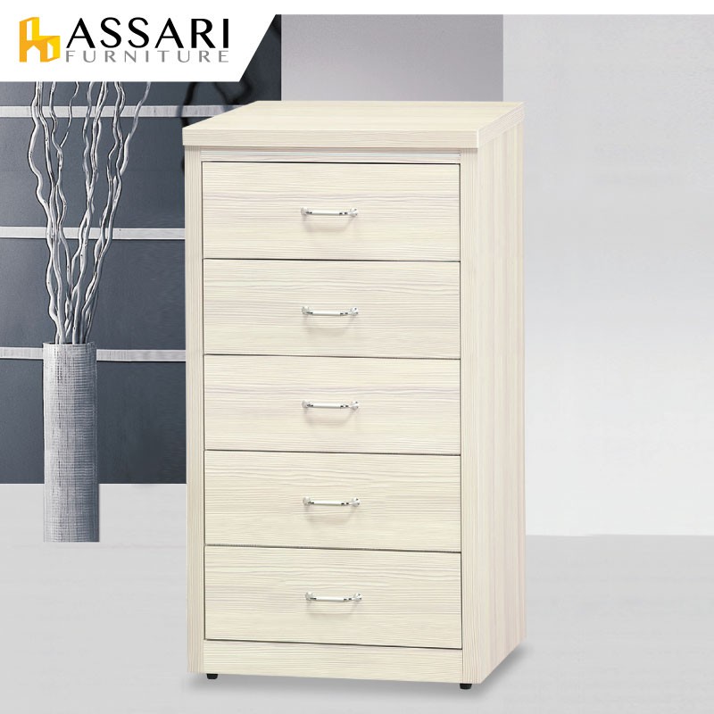 ASSARI-威爾2尺五斗櫃(寬61x深49x高114cm)