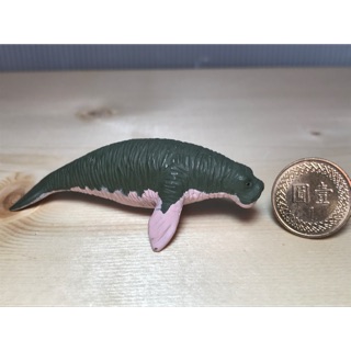#149「櫻田門」海牛 野生動物模型 動物模型 塑膠材質