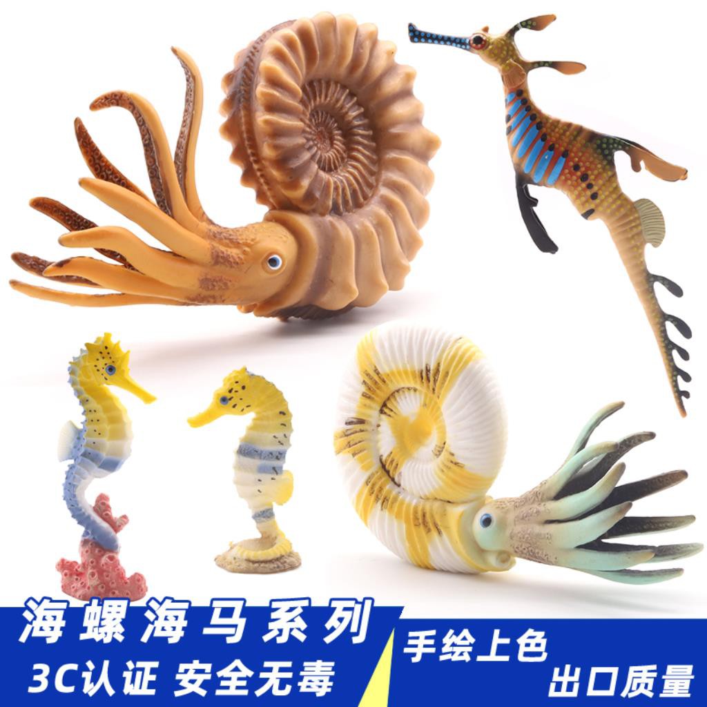 兒童仿真草海龍玩具海馬模型遠古寒武紀鸚鵡螺菊石無脊椎動物 蝦皮購物