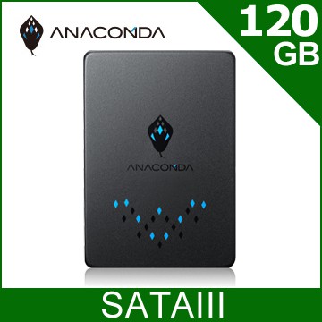 ANACOMDA巨蟒 T1 120GB SATA SSD