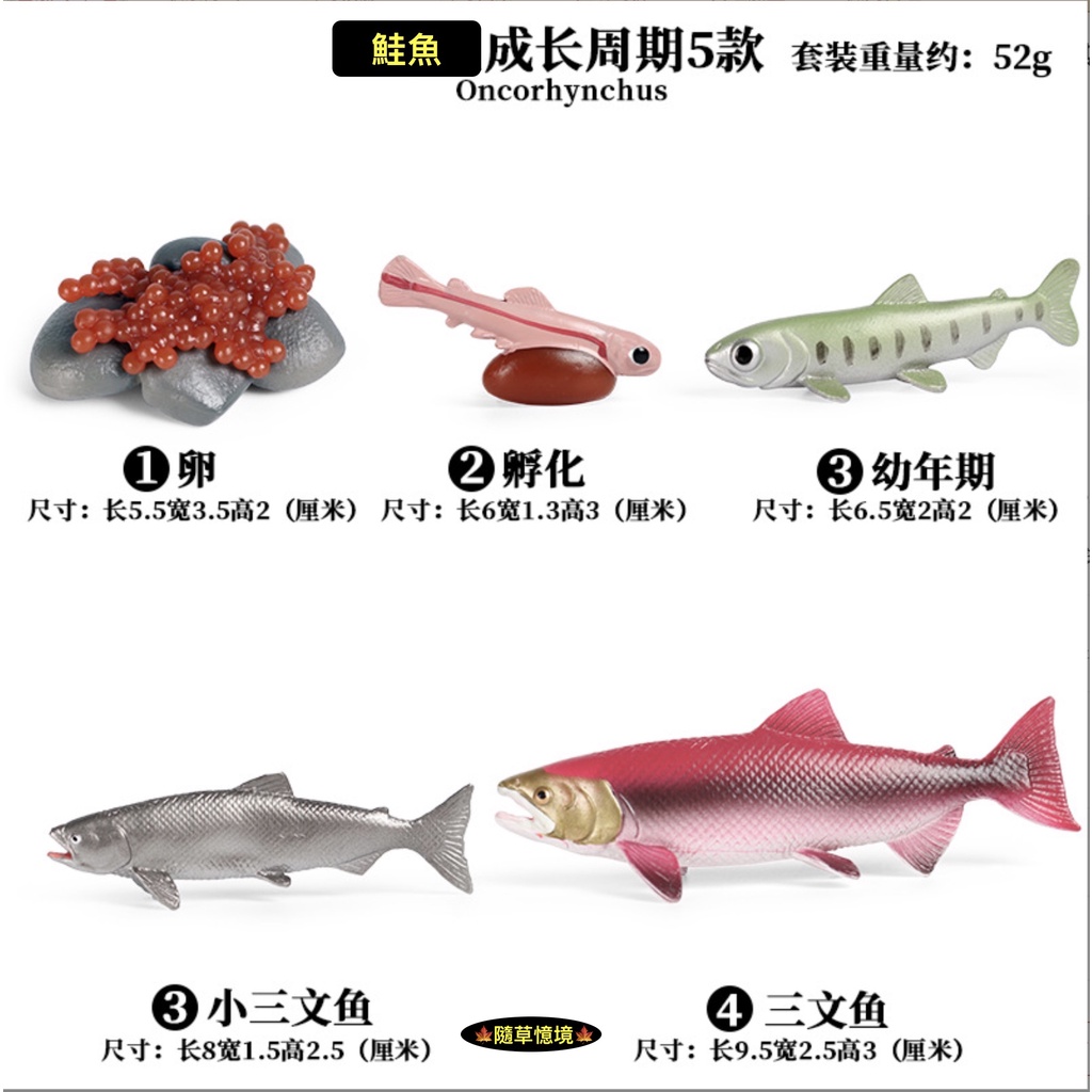 新作モデル 淡水魚 海水魚 用品 魚用品 水草 Www Qiraatafrican Com