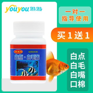 嘉壹優品 嘉壹優品匯蒙眼康觀賞魚蒙眼白眼凸眼專用觀賞魚蒙眼錦鯉金魚白眼病眼發白濁 蝦皮購物