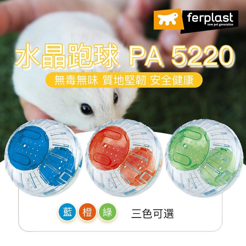 【大鸚帝國】義大利飛寶 ferplast / 健身跑步球 / 倉鼠球 倉鼠跑球 倉鼠滾球 運動跑球 鼠球 跑步球 健身球