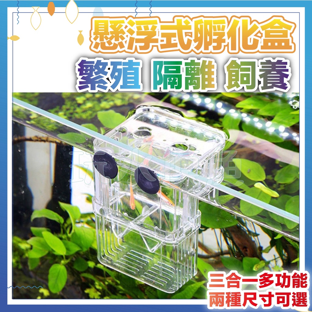 🔥台灣出貨🔥 隔離盒 繁殖盒 隔離箱 孵化盒 孵化箱 自浮盒
