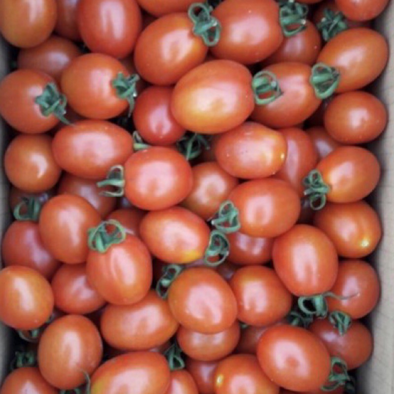 聖女番茄 🍅1 件17-19斤