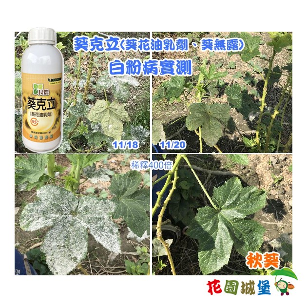 現貨-葵克立 葵花油乳劑 葵無露 1公升 白粉病 蚜蟲 葉蟎 植物醫生 有機栽培 無毒藥劑 【花園城堡】