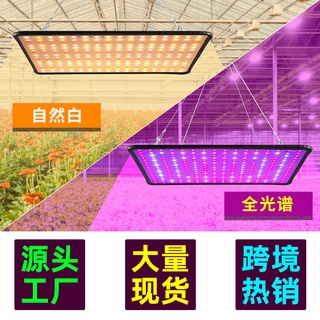 LED植物生長燈全光譜2000W量子板植物燈補光110V室內蔬菜種植燈園藝溫室花朵多肉綠葉植物水培