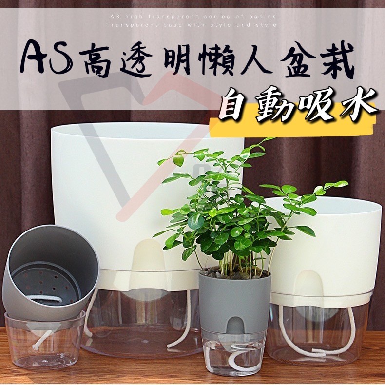 台灣現貨77 懶人自動澆水盆栽花盆盆栽水培塑膠盆自動吸水吸水花盆透明花盆水培花盆水培植物水培盆栽