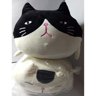 shinada global cat