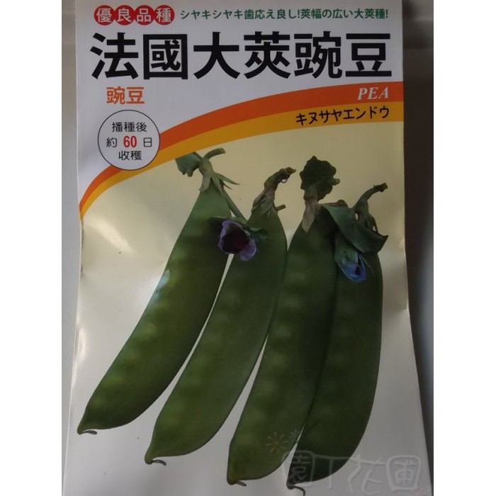 Lb002 Diy種子栽種成就滿滿 法國大莢豌豆 園丁花圃 蝦皮購物