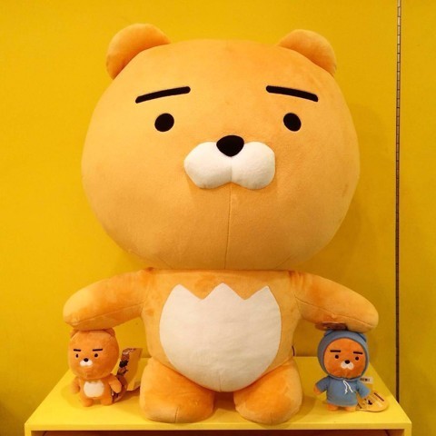 現 預 超大隻韓國原單kakao Friends 萊恩ryan 玩偶娃娃55公分同款 珮珮傳送門 蝦皮購物