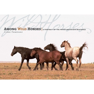 《文化國際通》9781580176330 Among the Wild Horses-與野馬為伴：普賴爾山野馬群像